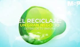 #ExclusivoMSP I  El reciclaje: un gran negocio detrás de tu basura