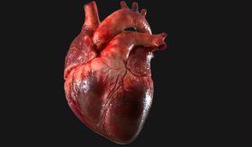 Conoce los 5 factores que anuncian que vas a sufrir un infarto en unos años