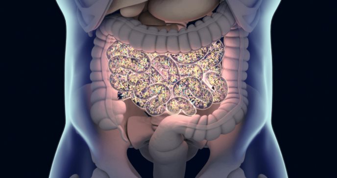 Un intestino saludable está vinculado a una mejor cognición neurológica, según estudio