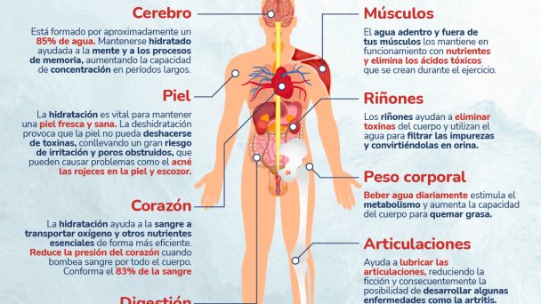 La importancia de mantenerse hidratado - Infografía