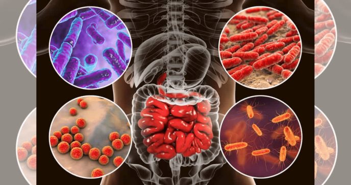 Las especies del microbioma intestinal predicen la diabetes tipo 2, indica estudio