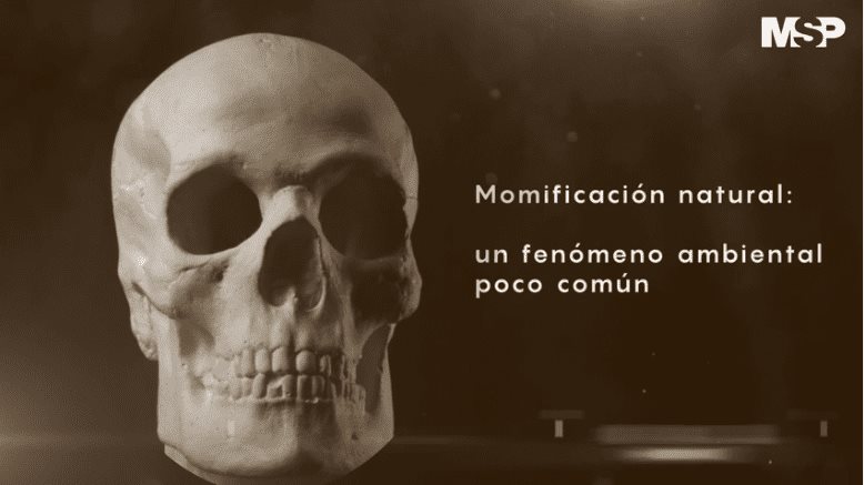 #EspecialMSP I Momificación Natural: un fenómeno ambiental poco común
