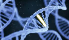 Investigadores hallan genes mutados que serían los causantes de cáncer en el ‘genoma basura’