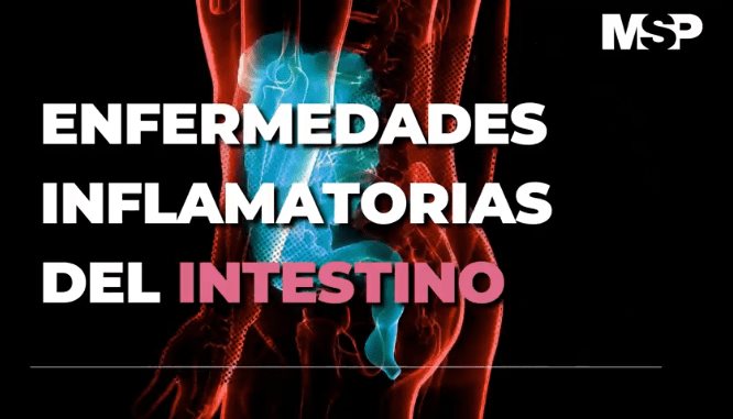 Enfermedades Inflamatorias del Intestino - #ExclusivoMSP
