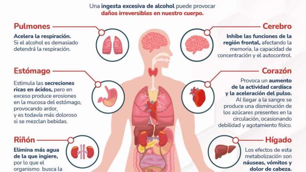Lo que el alcohol le hace al organismo - Infografía Lo que el alcohol le hace al organismo - Infografía