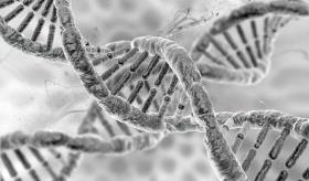 Significado para la salud la secuenciación completa del genoma humano