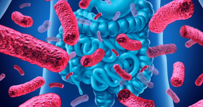 Apuntar a la microbiota puede ayudar a controlar la diabetes tipo 2