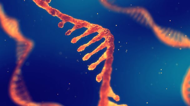 Estudio sobre el genoma completo del cáncer revela más de 58 firmas mutacionales nuevas Estudio sobre el genoma completo del cáncer revela más de 58 firmas mutacionales nuevas