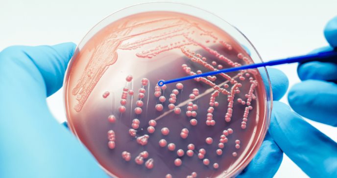 La descolonización bacteriana previene la dermatitis aguda por radiación
