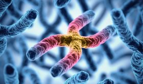 Investigadores identificaron 48 genes relacionados con la pérdida auditiva