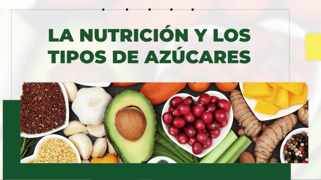 #CápsulaInformativa - La Nutrición y los tipos de azúcares