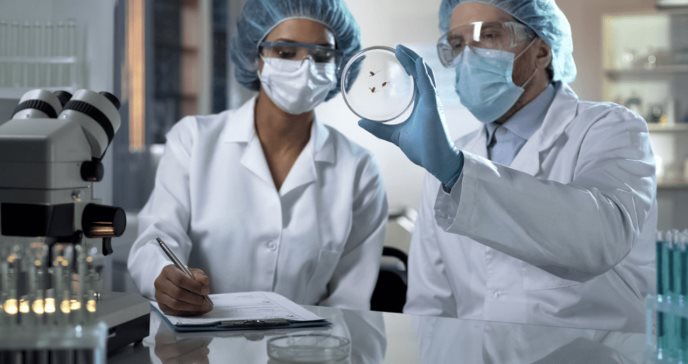 ¿Pueden las moscas y las cucarachas transmitir COVID-19?