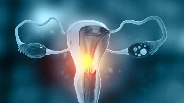 Atrofia vaginal: qué es y cuáles son sus síntomas Atrofia vaginal: qué es y cuáles son sus síntomas