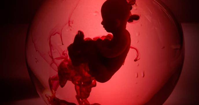 ¿Los abortos son prevenibles?