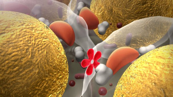 Nuevo fármaco para diabetes tipo 2 trata la resistencia a la insulina en vez de la hiperglucemia Nuevo fármaco para diabetes tipo 2 trata la resistencia a la insulina en vez de la hiperglucemia