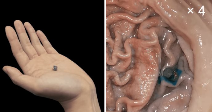 Desarrollan robots milimétricos que pueden transportar medicamentos en el cuerpo humano