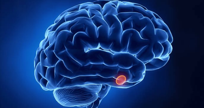El impacto neurocognitivo que genera la diabetes 2