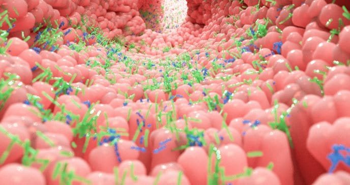 Nuevos probióticos que ayudan a combatir la diabetes y la obesidad