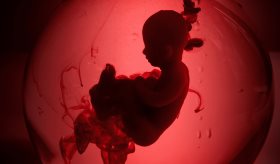 Ectogénesis, la nueva tecnología que permite desarrollar embriones en úteros artificiales