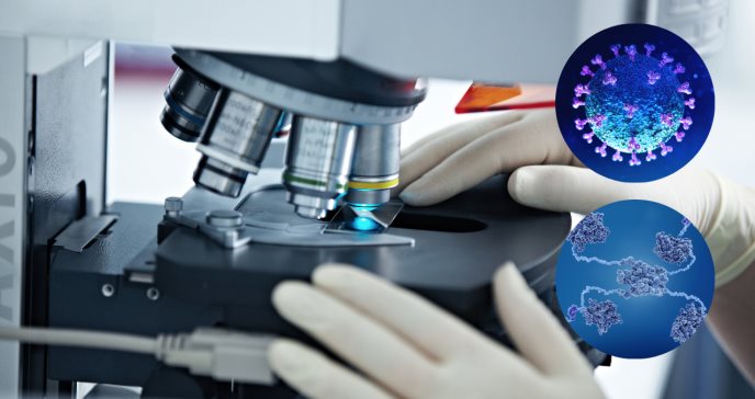 Estudio detectaría posible relación genética entre la infección por COVID-19 y el cáncer