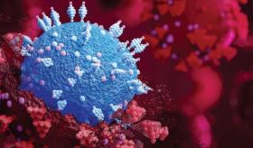 Discapacidad entre adultos con diagnóstico de VIH en Estados Unidos