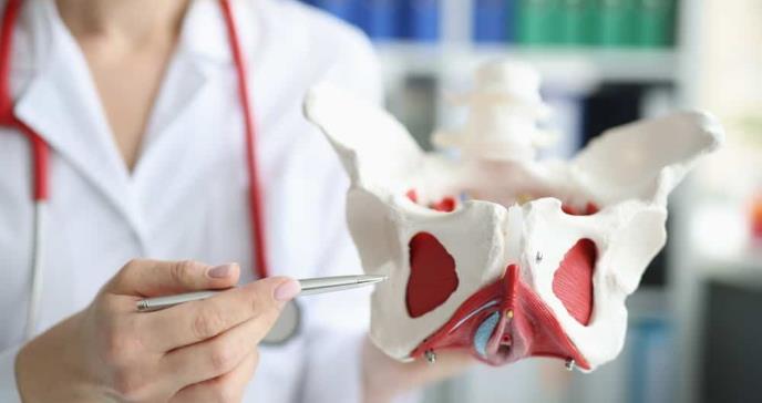 5 factores que debilitan tu suelo pélvico