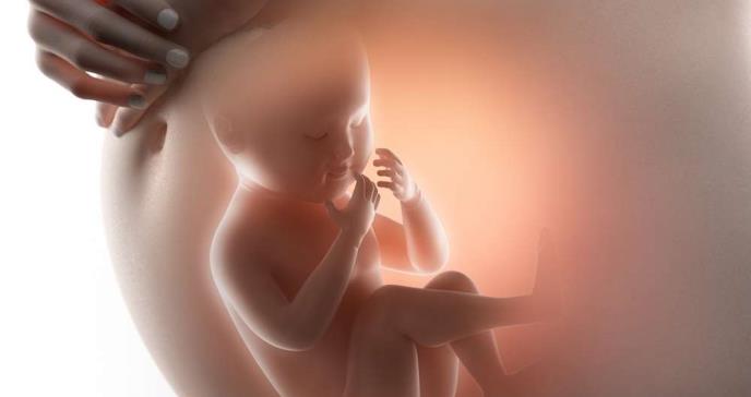 El alzhéimer podría desencadenarse desde el desarrollo fetal