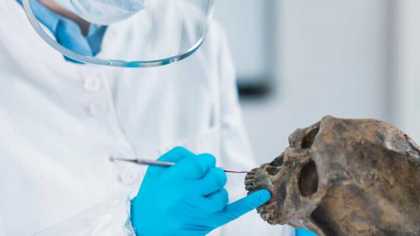El ADN antiguo devela nueva información sobre los orígenes y difusión de los idiomas