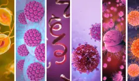 Conozca los 7 patógenos comunes en las Infecciones de Transmisión Sexual, 4 no tienen cura