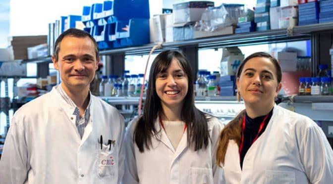 Adiponectina, la hormona que protege a las mujeres del cáncer de hígado