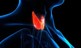 Una mirada al diagnóstico y tratamiento del Hipotiroidismo en el adulto