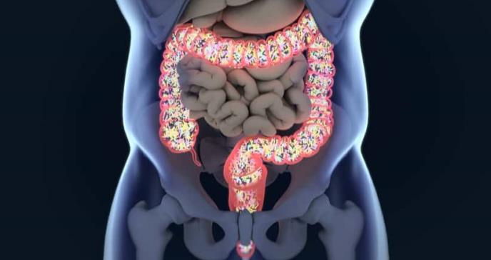Virus bacteriano, potencia un eficaz y mejor tratamiento contra el cáncer