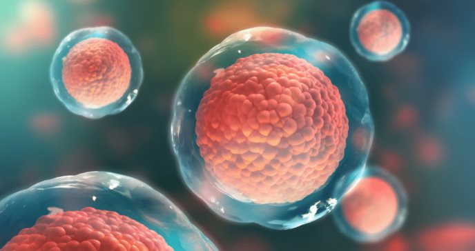 Terapia con células madre que ‘evaden’ el sistema inmune para curar la diabetes