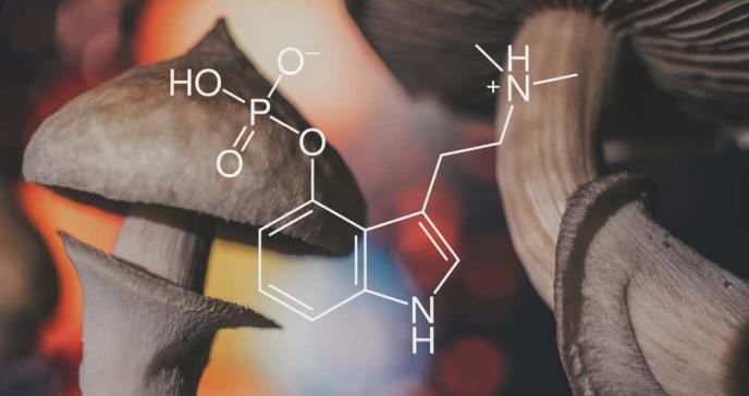 El alucinógeno psilocibina podría reducir la depresión resistente a tratamiento