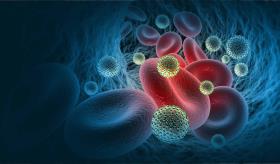 Cura funcional de la infección por VIH mediante terapia génica, evitaría medicación crónica