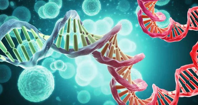 Primer caso de aneuploidía por mutaciones bialélicas en sobreviviente de 12 tipos de cáncer