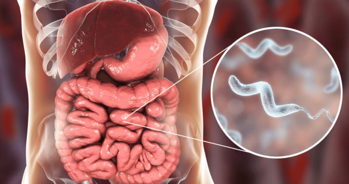 Peróxido de hidrógeno, clave de la vacuna contra bacteria que causa la diarrea, sugiere nuevo estudio