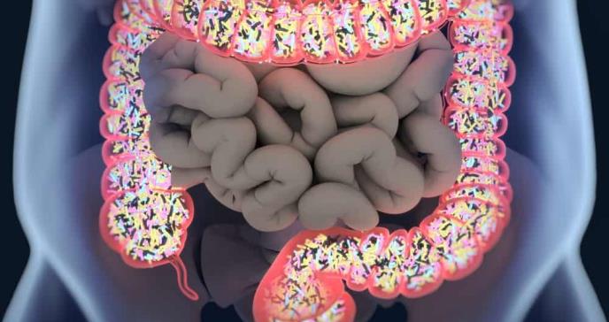 Los desbalances de la flora intestinal pueden influir en el deseo de hacer ejercicio, afirma estudio