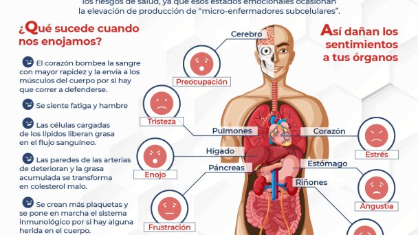 ¿Te enojas con frecuencia? - Infografía ¿Te enojas con frecuencia? - Infografía