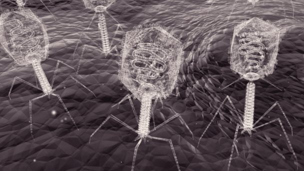 Investigadores utilizan minería metatranscriptómica para entender virus y descubren nuevos bacteriófagos