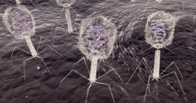 Investigadores utilizan minería metatranscriptómica para entender virus y descubren nuevos bacteriófagos