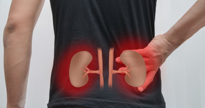 El riñón: principal órgano afectado por la diabetes