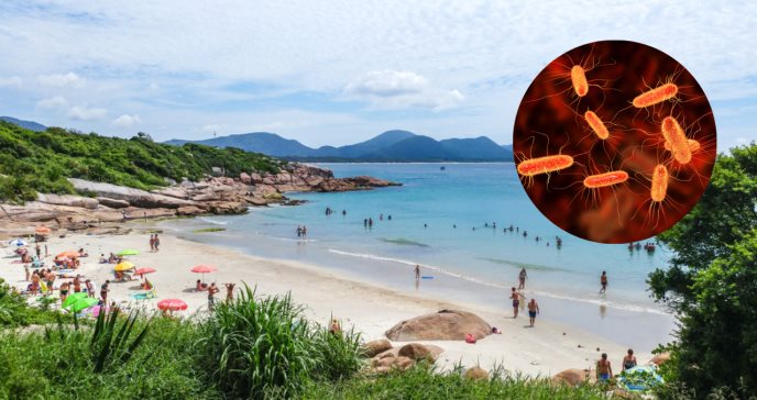 Autoridades sanitarias confirman epidemia de diarrea en Florianópolis, isla de Brasil