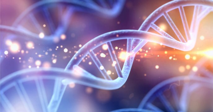 Mapa genético identifica el riesgo de enfermedad cardiovascular en pacientes con diabetes tipo 2