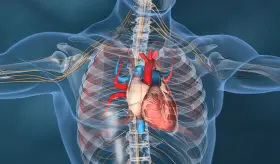Expertos sugieren multiplicadores de riesgo cardiovascular para las enfermedades reumáticas