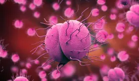 Detectan en EE. UU. dos casos de una cepa de gonorrea que preocupa a las autoridades