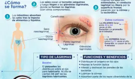 El porqu&eacute; de las l&aacute;grimas - Infograf&iacute;a