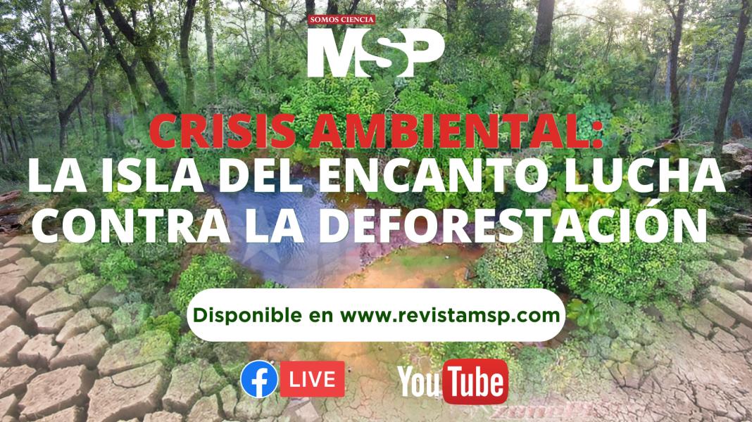 Crisis ambiental: Puerto Rico lucha contra la deforestación