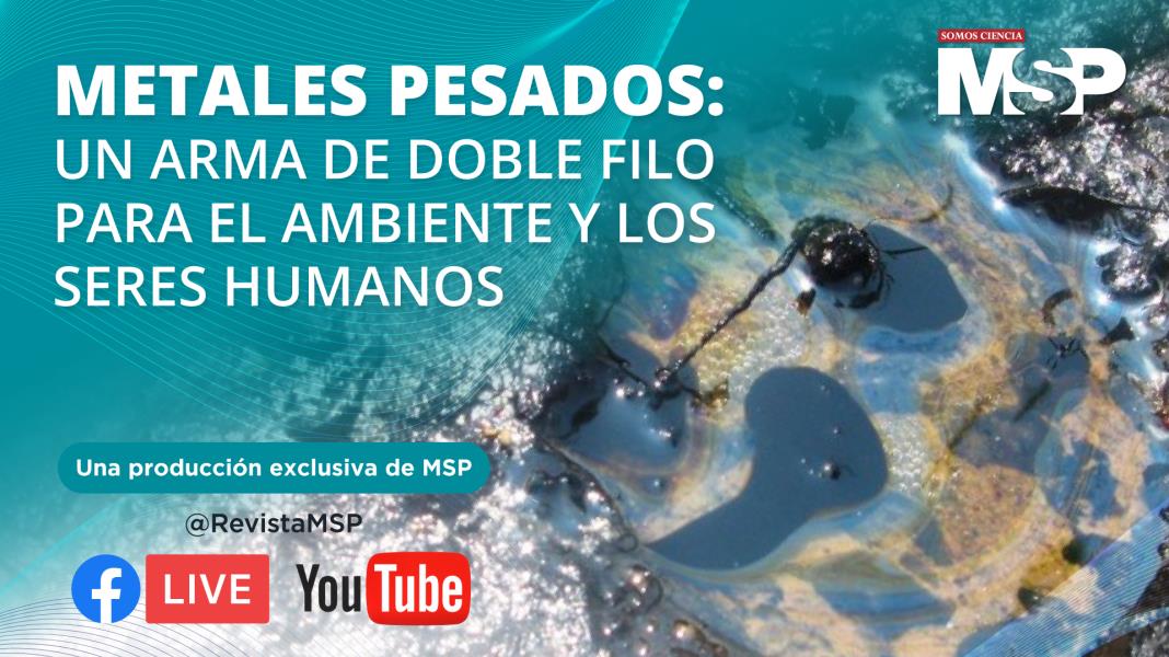 Metales pesados: un arma de doble filo para el ambiente y los seres humanos - #ExclusivoMSP