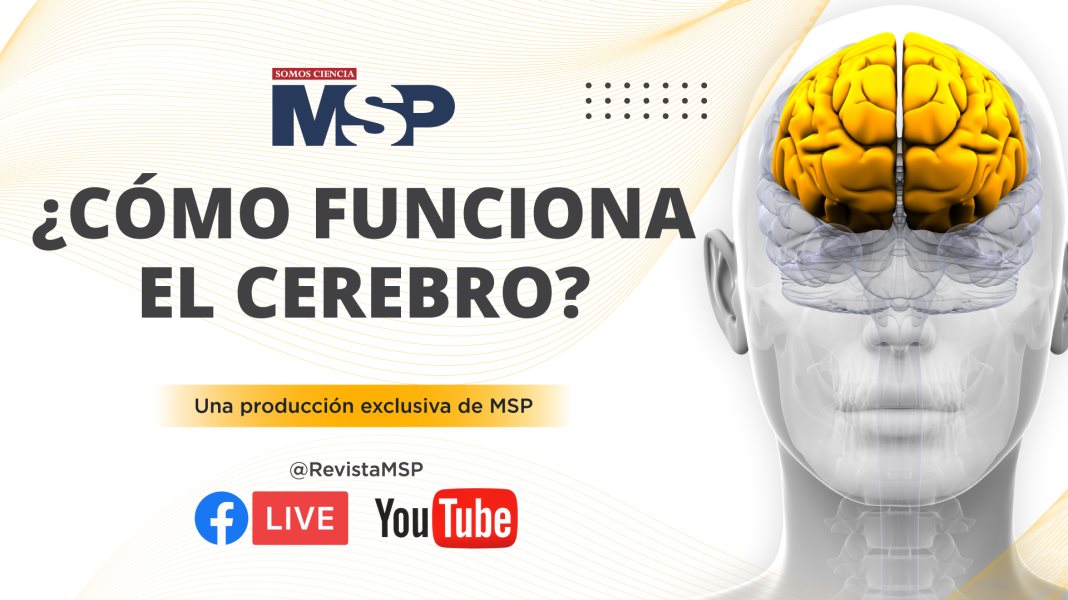 ¿Cómo funciona el cerebro? - Microdocumental: #ExclusivoMSP